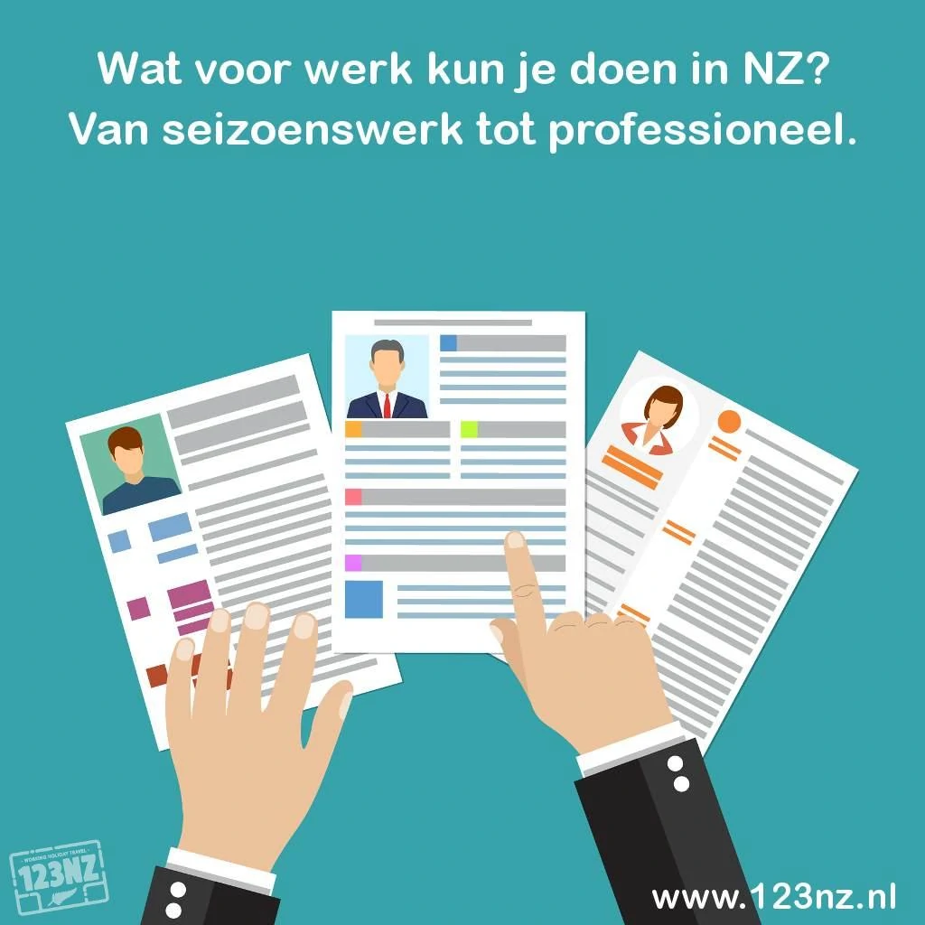 Werk vinden in Nieuw-Zeeland