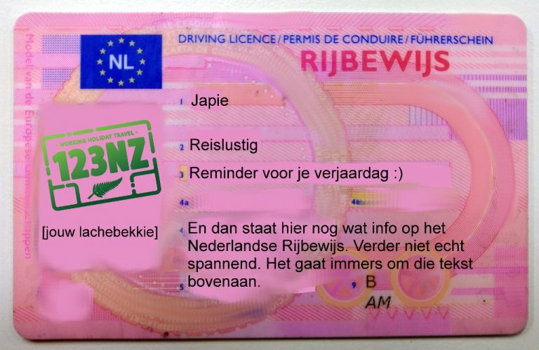 Op Reis Met Je Rijbewijs: Van Geldigheid Tot Nieuwe Aanvragen