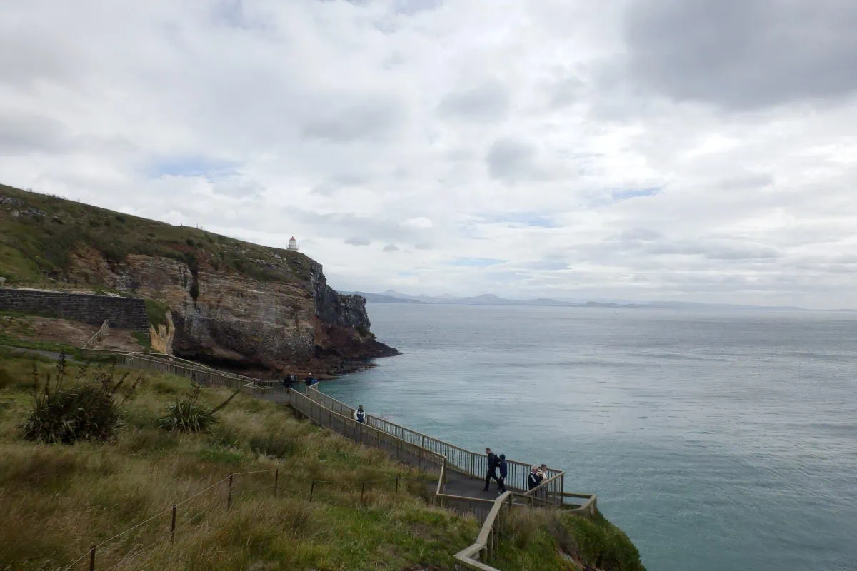 Vuurtoren bij Taiaroa Head (in de verte op klif)