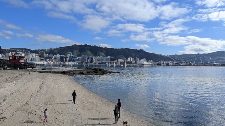 Kijkend de andere kant op vanaf Oriental Bay. Skyline van de stad aan de linkerkant met de zee nu aan de rechterkant. Voor je ligt het stadsstrand.